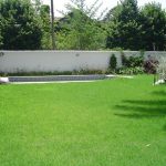 Paso 1296 – Jardín y pileta