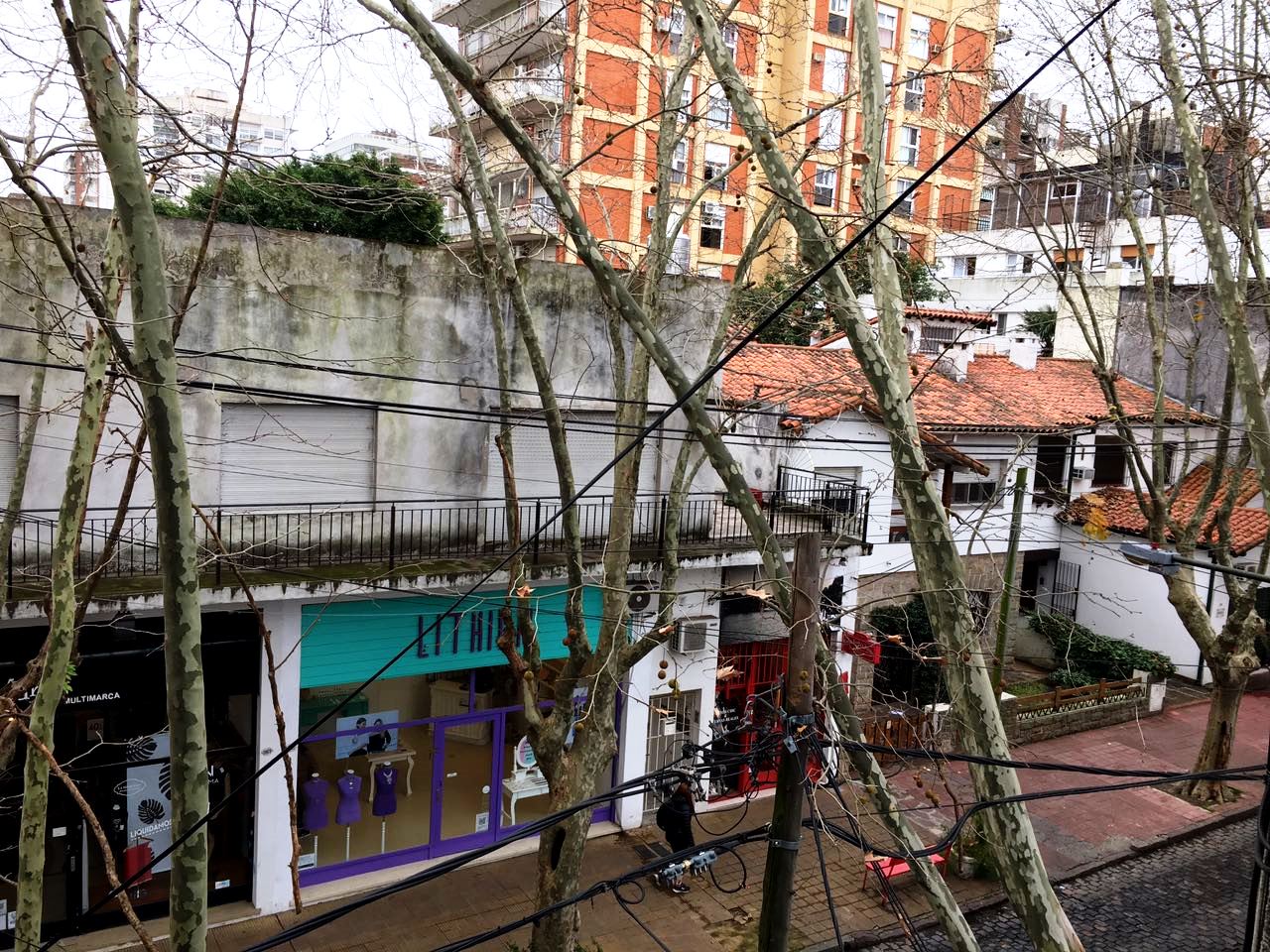 Paunero 1970 – 2° | ARRAMBIDE PROPIEDADES