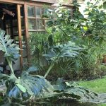 4JardinInviernoSaliendo