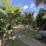 IMG_7883