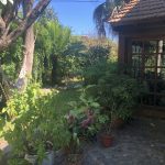 Jardin2