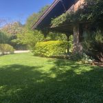 Jardin3
