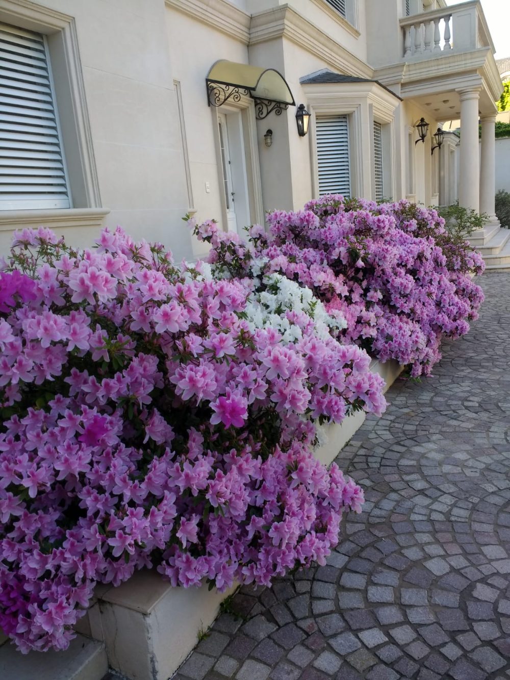 WhatsApp Image 2026-01-30 at 12.16.19 AM (1)