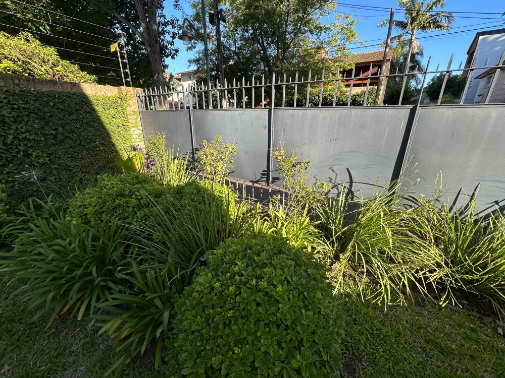 WhatsApp Image 2026-03-17 at 17.18.29 (2)